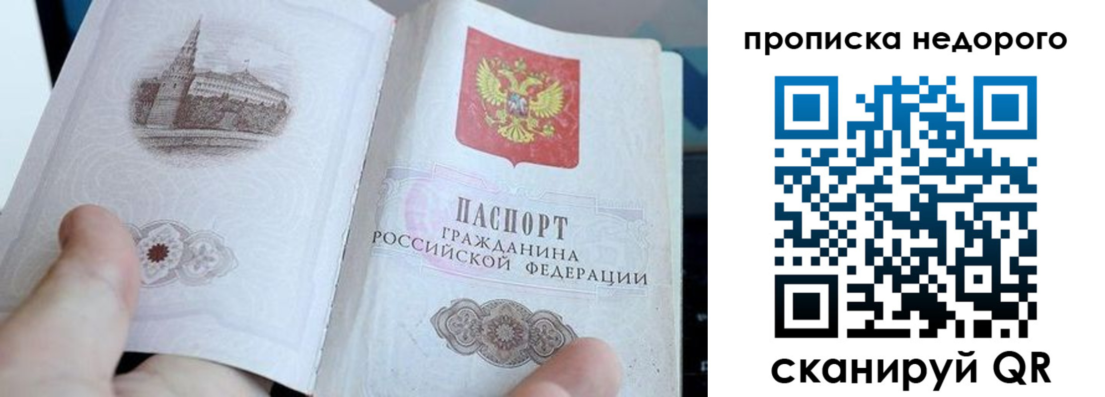 пропишу в квартире в Мурино
